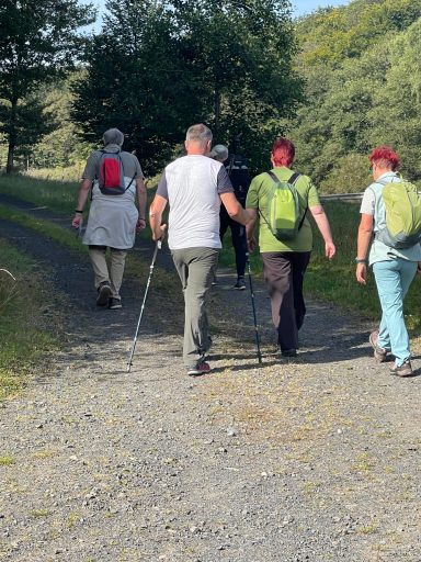 Vier Wanderer gehen einen schmalen Weg durch eine grüne Landschaft.