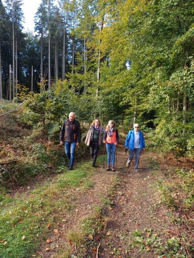 Vier Personen wandern auf einem schmalen Waldweg zwischen Bäumen und Sträuchern.