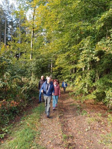 Gruppenausflug auf einem Waldweg mit grüner Vegetation im Hintergrund.