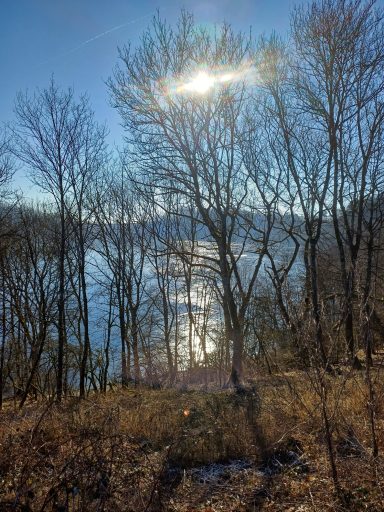 Sicht auf einen glitzernden See zwischen kahlen Bäumen bei sonnigem Wetter.