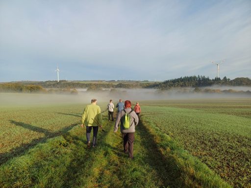 Gruppe von Menschen wandert durch nebliges Feld mit sanften Hügeln im Hintergrund.