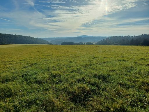 Grüne Wiese mit Hügeln im Hintergrund und blauem Himmel.