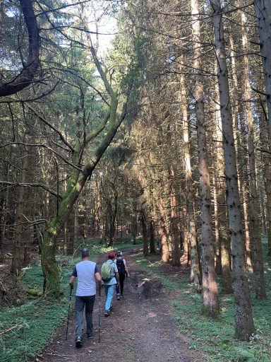 Drei Personen gehen auf einem schmalen Weg durch einen dichten Wald.