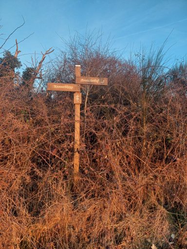 Ein einfaches Holzkreuz steht zwischen wilden, trockenen Pflanzen und Sträuchern.