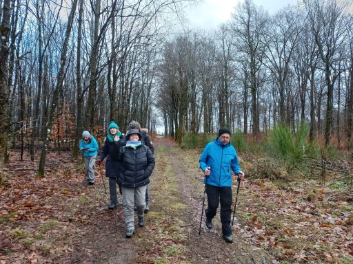 Gruppe von Wanderern auf einem schmalen Weg im Wald, umgeben von Bäumen und Laub.