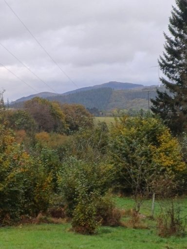 Berglandschaft mit bewaldeten Hügeln und herbstlichen Bäumen im Vordergrund.