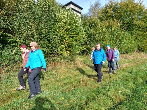 Fünf Personen wandern auf einem Weg neben grünen Büschen und Bäumen.