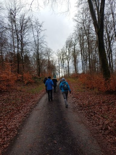 Wanderer auf einem Weg durch einen herbstlichen Wald mit buntem Laub.