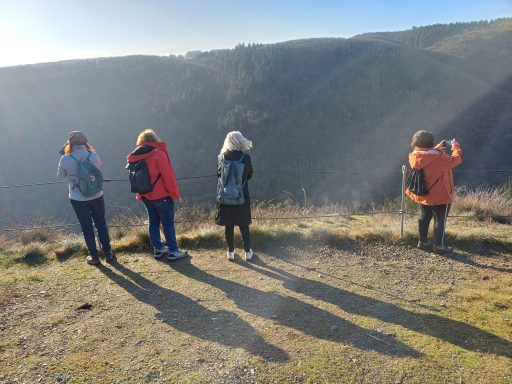 Vier Personen stehen an einem Hang mit Blick auf eine Schlucht im Sonnenlicht.