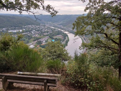 Blick auf eine Flusslandschaft mit Bäumen und einer Bank im Vordergrund.