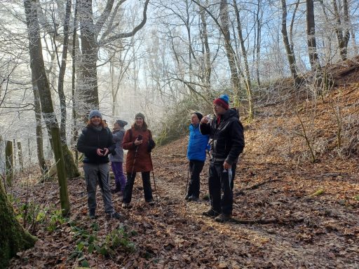 Sechs Personen stehen auf einem Waldweg umgeben von Bäumen und Laub, dampfige Atmosphäre.