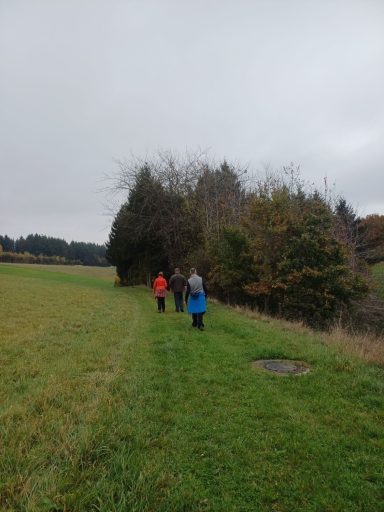 Gruppe von Menschen wandert auf einem Feldweg entlang von Bäumen.