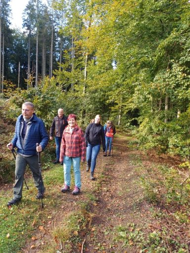 Gruppe von fünf Personen wandert auf einem Waldweg zwischen Bäumen und Grün.