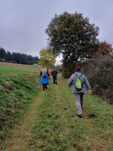 Wanderer auf einem schmalen Pfad in einer grünen Landschaft mit Bäumen.