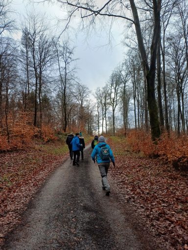 Wandergruppe auf einem Waldweg mit Laub und Bäumen im Herbst.