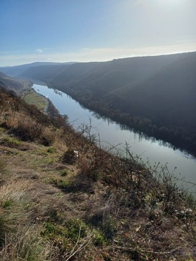 Blick auf einen Fluss, umgeben von bewaldeten Hängen und hügeliger Landschaft.