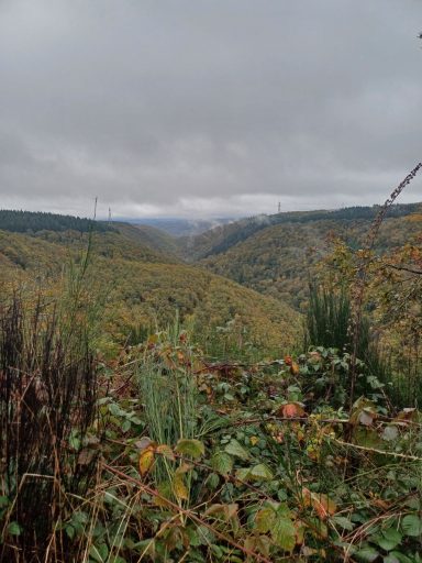 Blick auf eine bewaldete Täuschung mit bewölktem Himmel und sanften Hügeln im Hintergrund.
