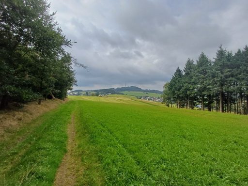 Grüne Wiese mit einem Weg, umgeben von Bäumen und hügeliger Landschaft im Hintergrund.