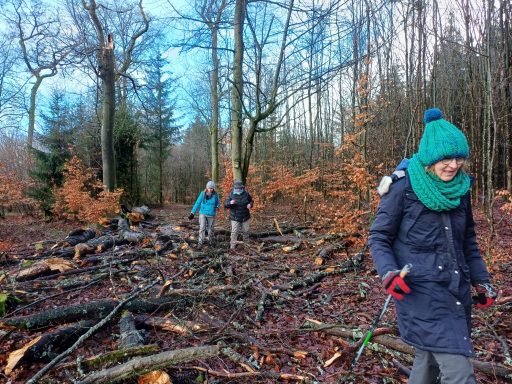 Zwei Personen wandern durch einen Wald mit umgestürzten Bäumen, eine trägt einen grünen Hut.