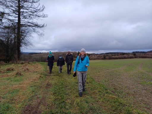 Gruppe von fünf Personen wandert auf einem Feld unter bewölktem Himmel.