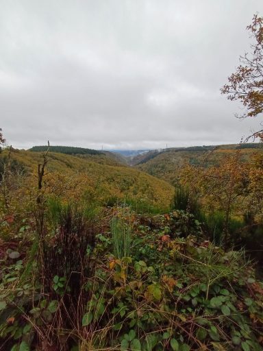Herbstliche Landschaft mit grünen Hügeln und bewölktem Himmel in der Ferne.